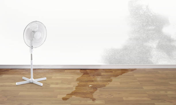 Local water damage restoration in West Homestead, PA