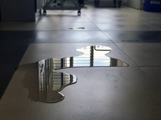 Best Water damage repair service  in West Homestead, PA