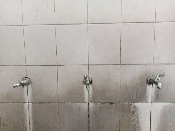 Reliable West Homestead, PA Water damage restoration Solutions