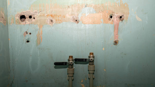 Best Fire Damage Restoration  in West Homestead, PA