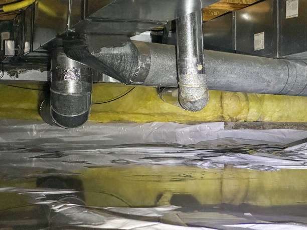 Carpet water damage restoration in West Homestead, PA