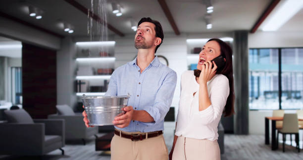 Best Carpet water damage restoration  in West Homestead, PA