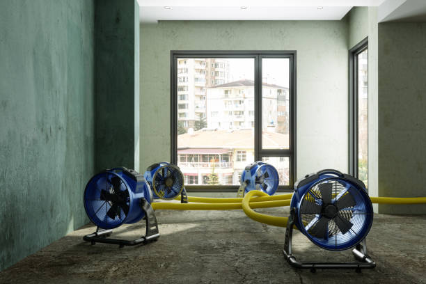 Best Commercial water damage restoration  in West Homestead, PA